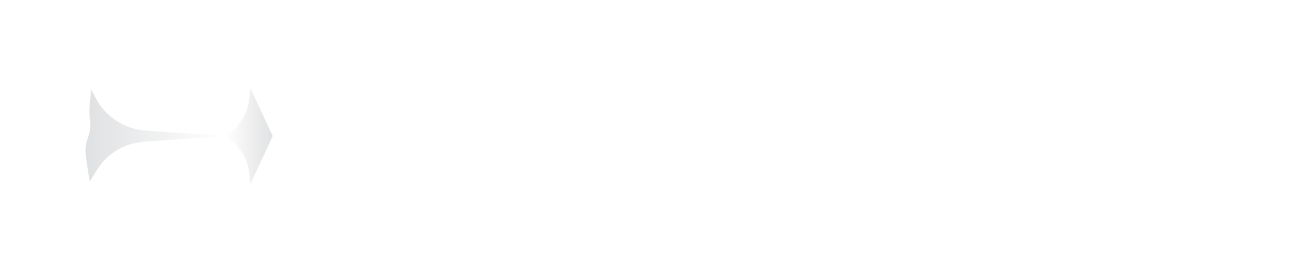 Bissets Watches
